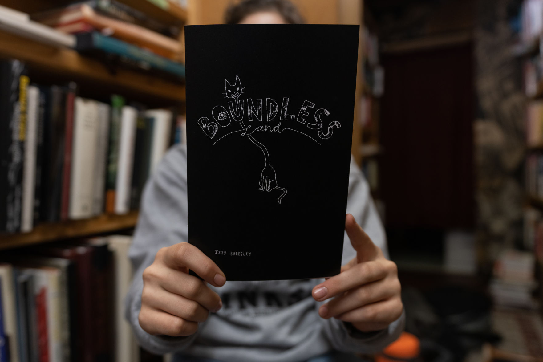 Izzy Sheesley's "Boundless Land" Book Cover